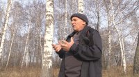 Жители Искитимского района вынуждены все лето работать на лесоповале