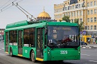 Депутат-единоросс предложил убрать из Новосибирска все троллейбусы