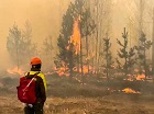 «Победить огонь!» В Новосибирской области бушуют ландшафтные пожары
